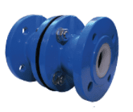 Ductile Iron Flanged – Double Check Valve Plumbing Products